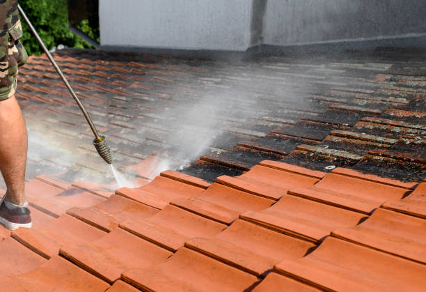 Best Roof Pressure Washing  in Bellingham, WA