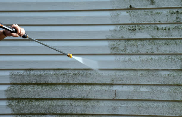  Bellingham, WA Pressure Washing Pros