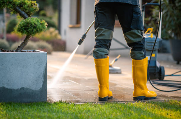 Best Deck Pressure Washing  in Bellingham, WA